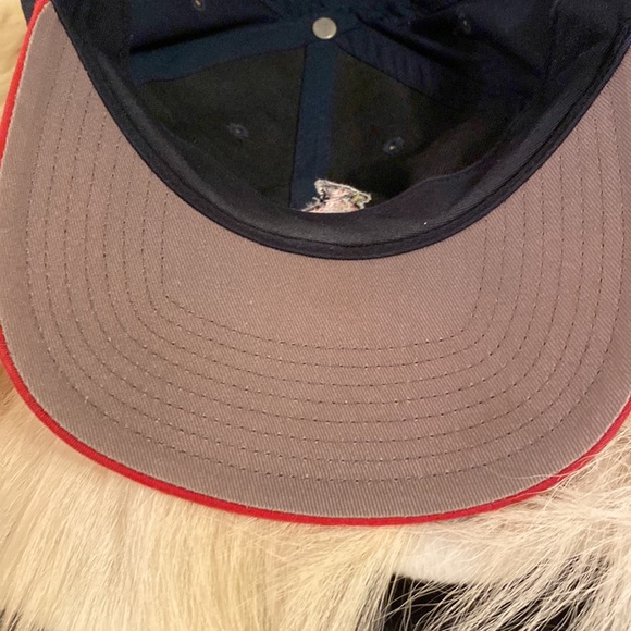 Vintage St. Louis Cardinals SnapBack Hat Cap Logo Athletic Bird baseball - Picture 10 of 11